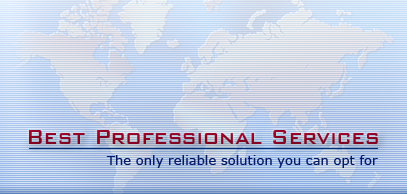 Best Professional Service
